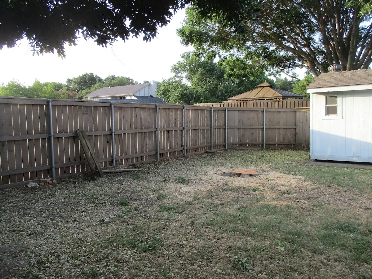 Cleared yard after professional tree removal in Trego