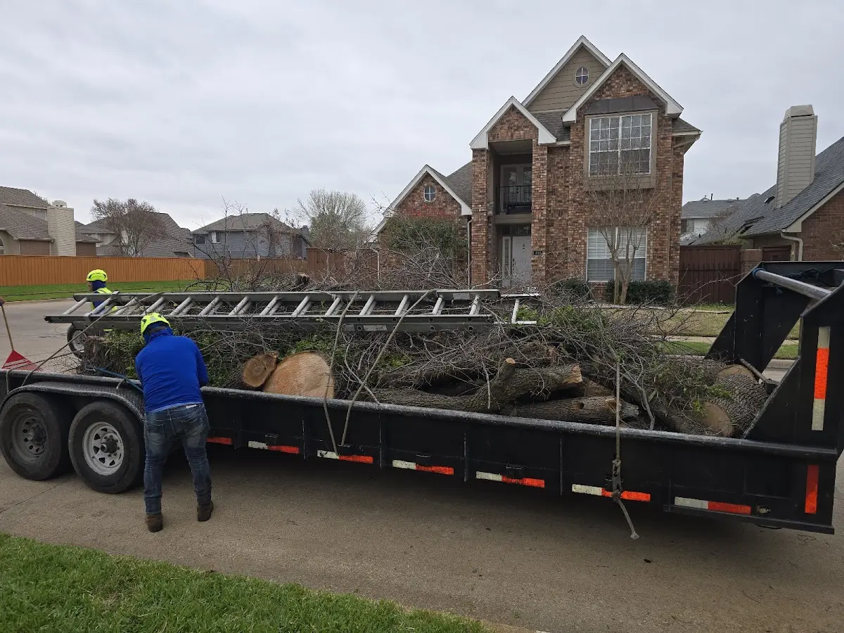 Expert Tree Fertilization with proper safety equipment in Trego